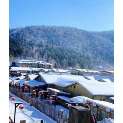 东北乡雪5日景点旅行(中央大街+亚布力+索菲亚教堂+中国雪乡+雪韵大街+雾凇岛+冰雪大世界）图2