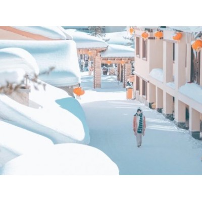 东北乡雪5日景点旅行(中央大街+亚布力+索菲亚教堂+中国雪乡+雪韵大街+雾凇岛+冰雪大世界）图4
