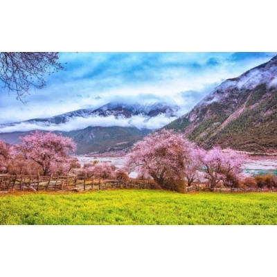 2024年3月，西藏7日桃花节深度游—找寻漫山桃花的摄影之旅图2