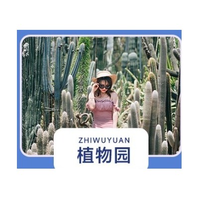 上海出发-自由行 厦门4日自由行图4