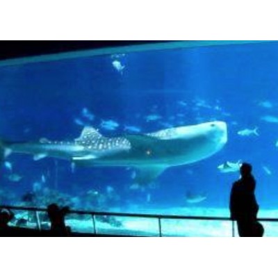 夏日海底大冒险亲子假期图2