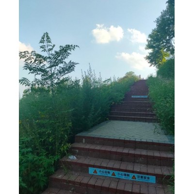 江苏六合国家地质公园1日游图6