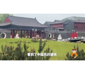时政Vlog丨在莫斯科记录中国外交的繁忙时刻