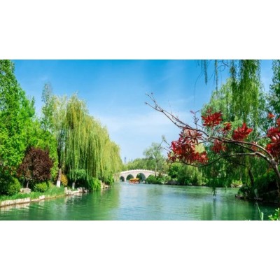 泰山之巅——一场说走就走的旅行图3
