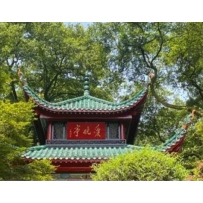 湖南6日游图7
